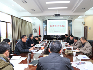 kaiyun开云（中国）召开审计整改工作推进会