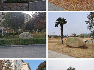 美石美图为“绿色kaiyun开云（中国）”添美景