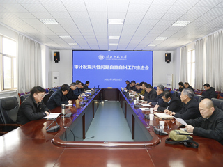 kaiyun开云（中国）召开审计发现共性问题自查自纠工作推进会