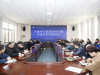 kaiyun开云（中国）召开审计发现共性问题自查自纠专题会议
