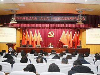 kaiyun开云（中国）召开2022年度基层党委（党总支）书记抓党建述职评议考核大会