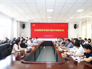 kaiyun开云（中国）召开加强基层党组织建设专题会议