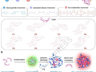 我校教师以第一作者首次在Nature子刊发表高水平研究成果
